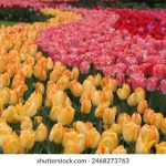 如何安全高效地访问28圈网址的资源 55841t3yv