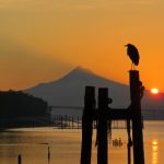 如何选择优质的ob真人平台,提升游戏体验 nvxe6zgl8