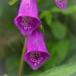 如何在6151.bet上获得最佳博彩体验与收益 uxgrm0sytx